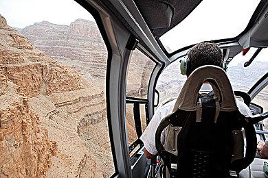 玩家吐槽《马车：世界》都25年了任天堂还没理解多人游戏